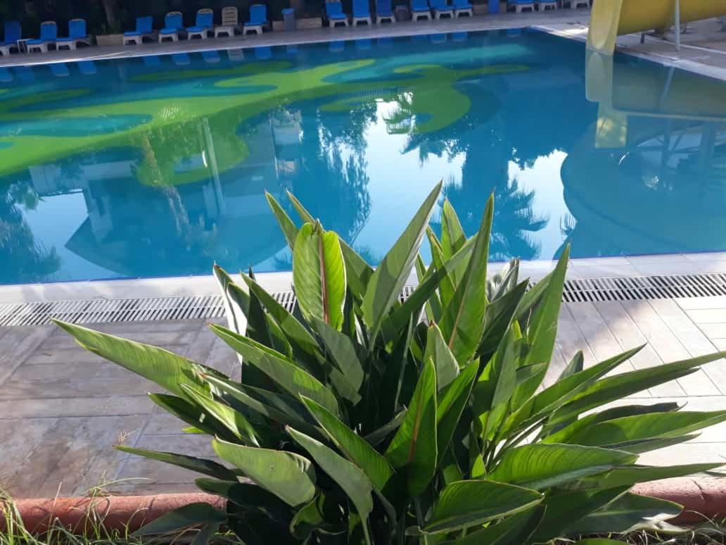 Hotel Club Jovia Kemer Antalia Esterno foto