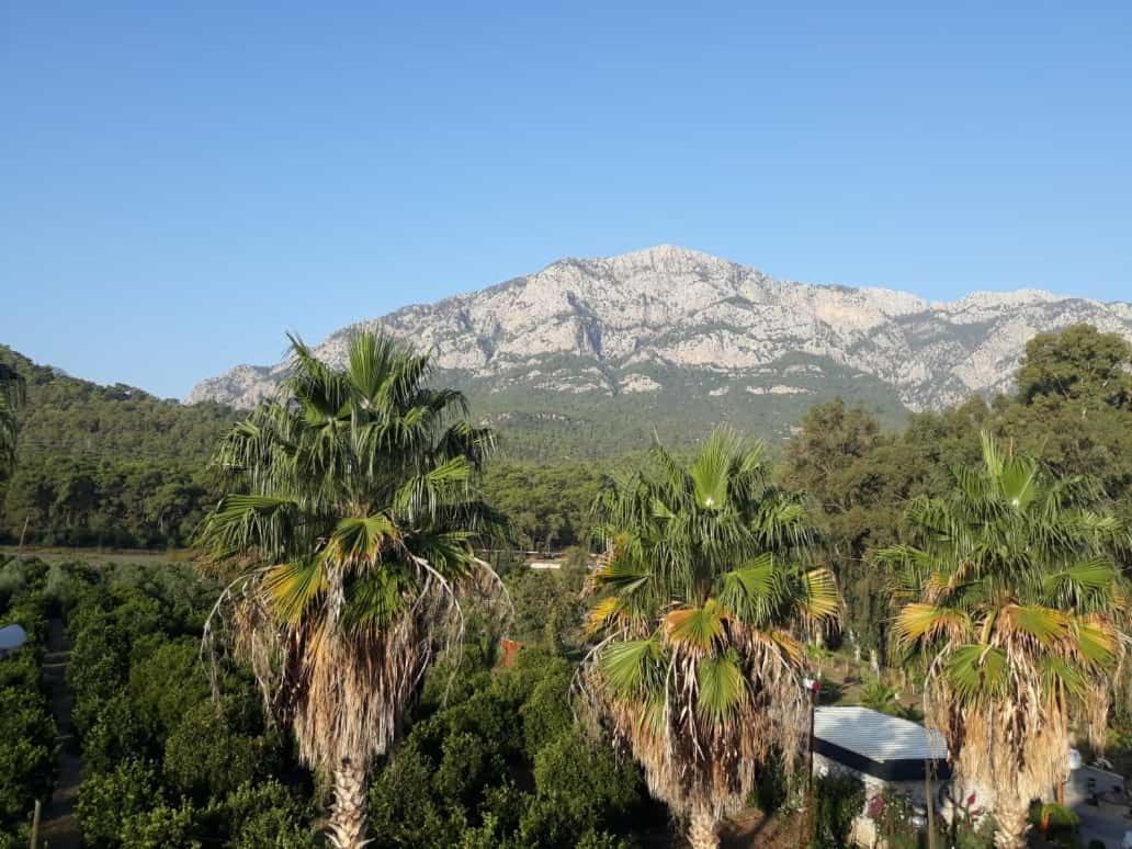 Hotel Club Jovia Kemer Antalia Esterno foto